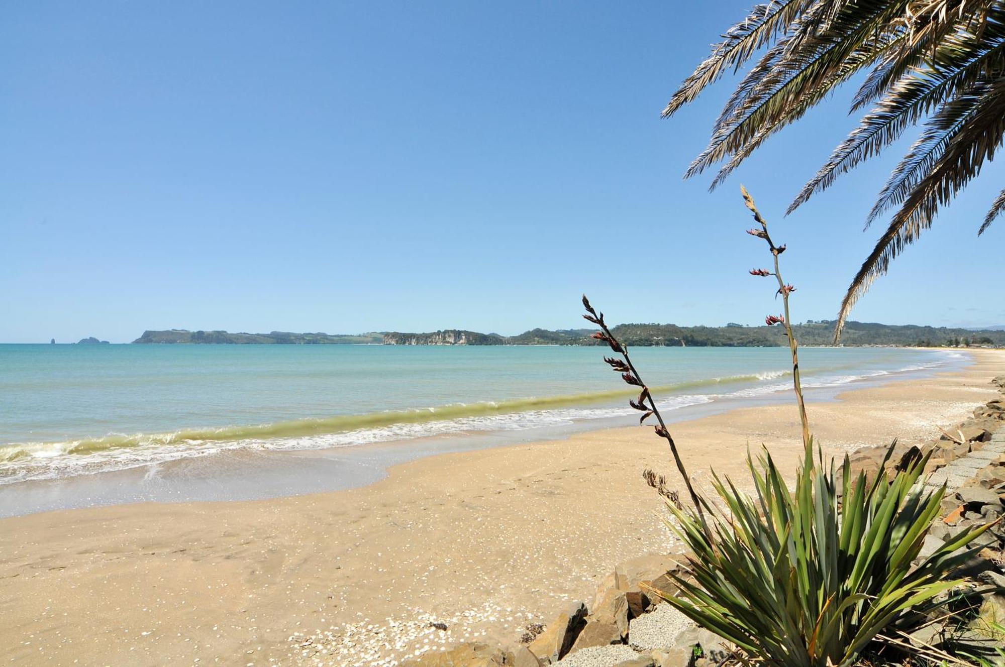 Whitianga Campground Екстериор снимка