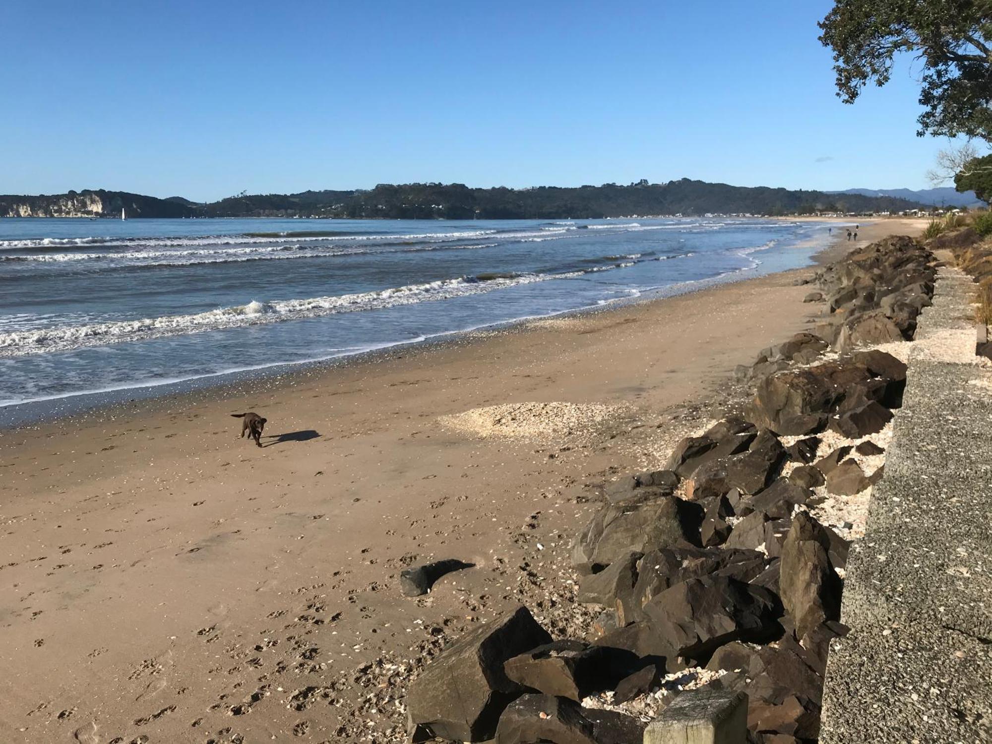 Whitianga Campground Екстериор снимка